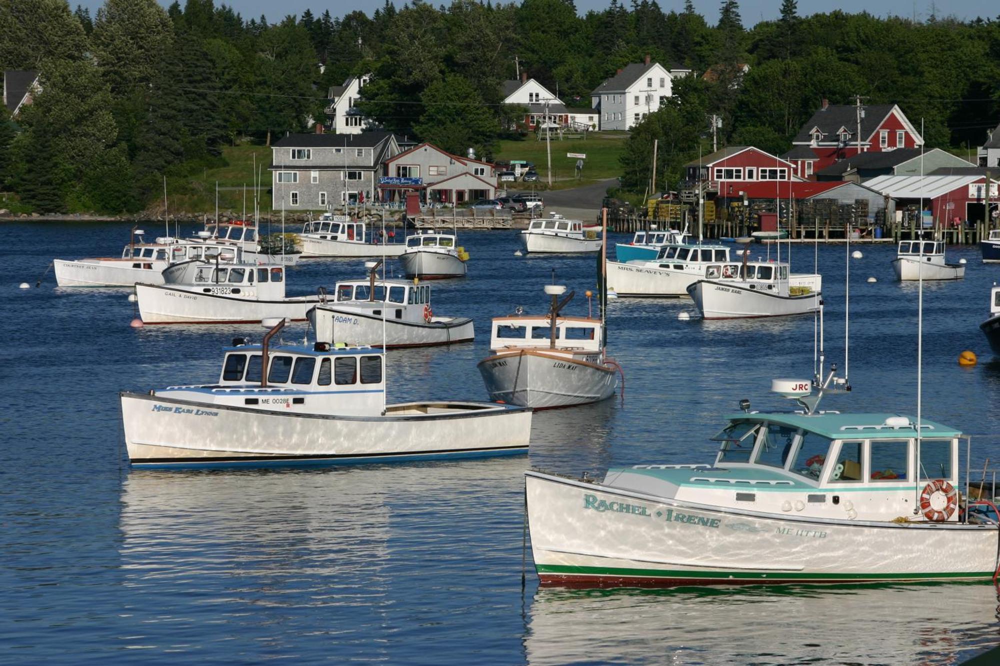 Lighthouse Cabins Maine Bass Harbor المظهر الخارجي الصورة